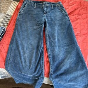 Liverpool Denim Flare Jeans
